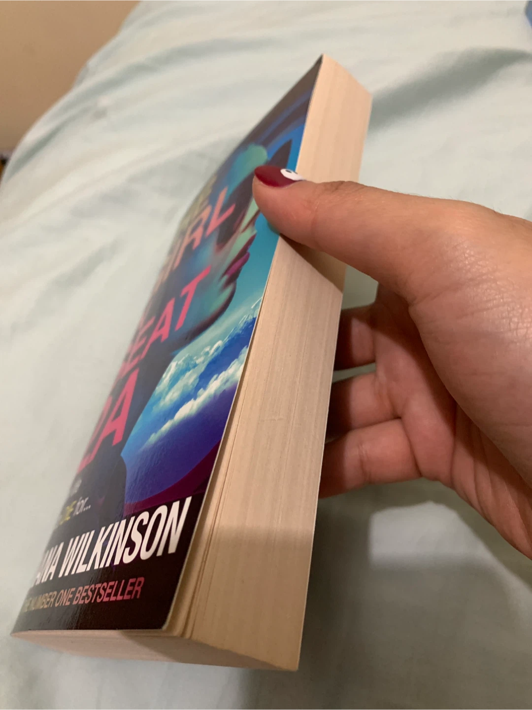 The Girl in Seat 2A by Diana Wilkinson - photo 3
