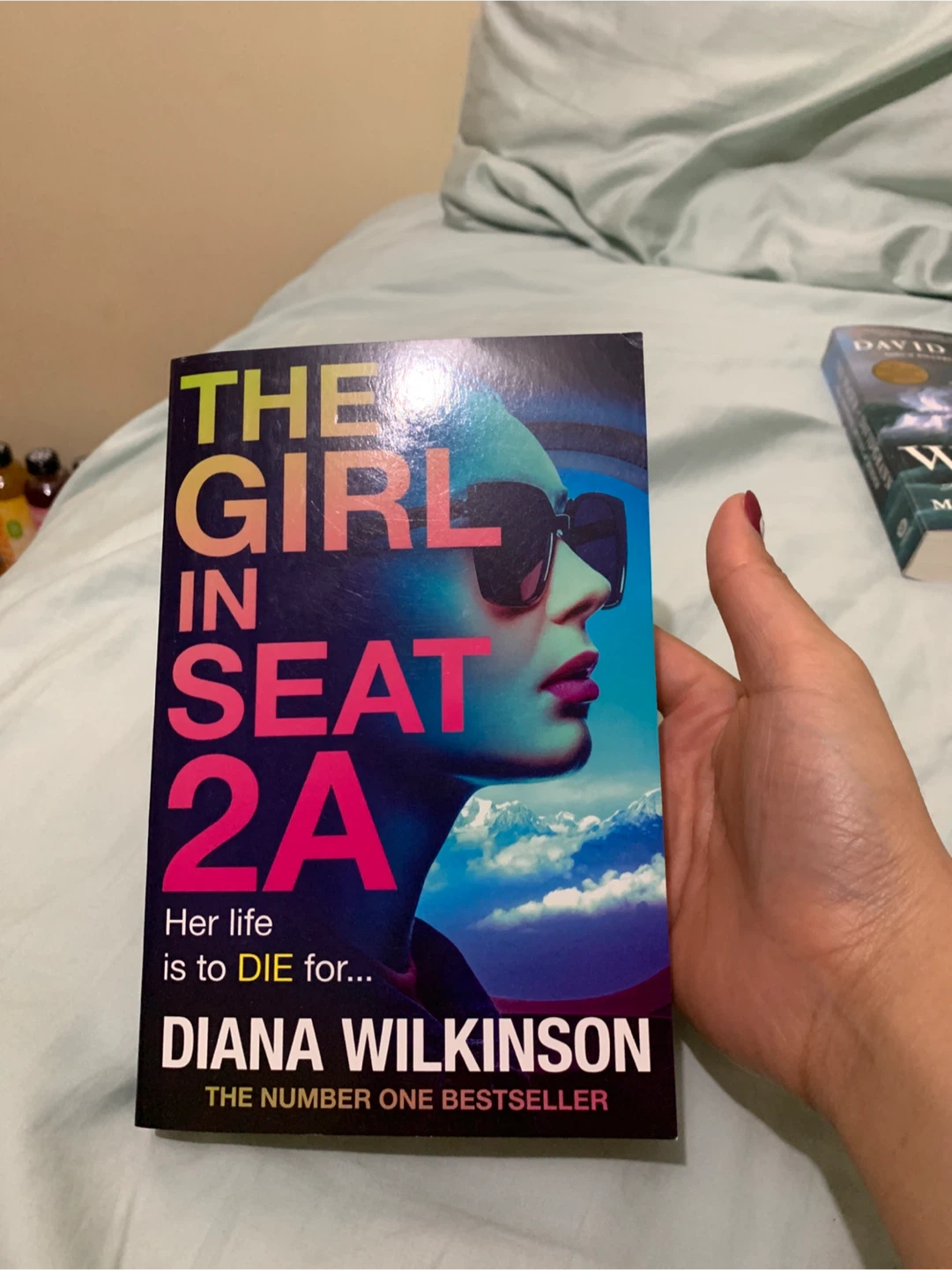The Girl in Seat 2A by Diana Wilkinson