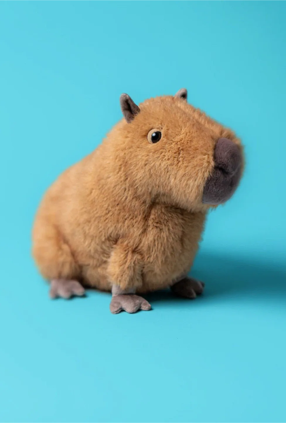 Jellycat Clyde Capybara