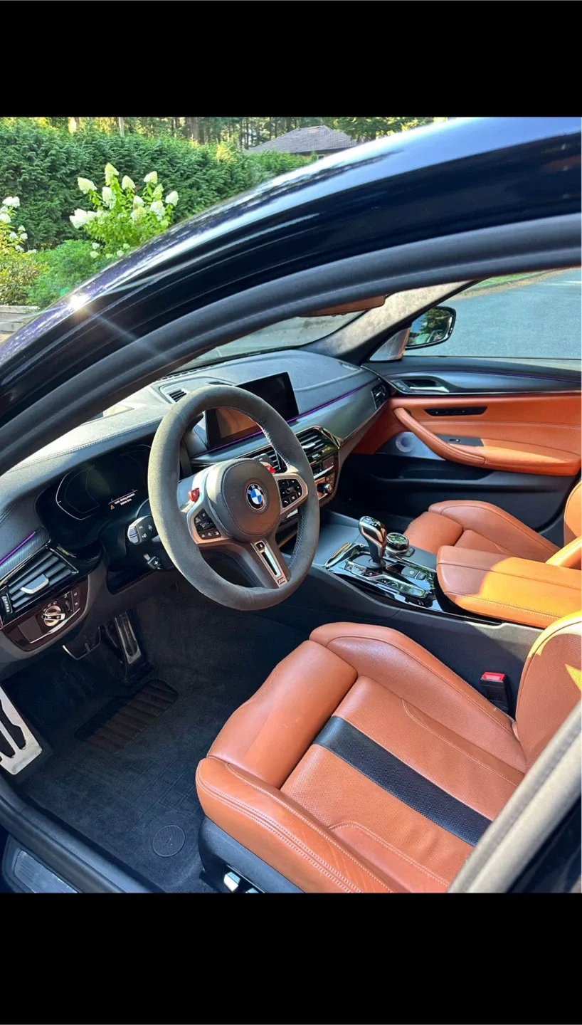 Professional Auto detailing image indicator(3)