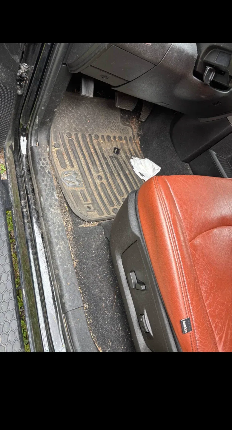 Professional Auto detailing image indicator(2)