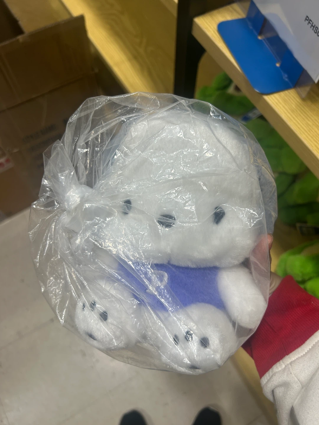 Sanrio pochacco plushie