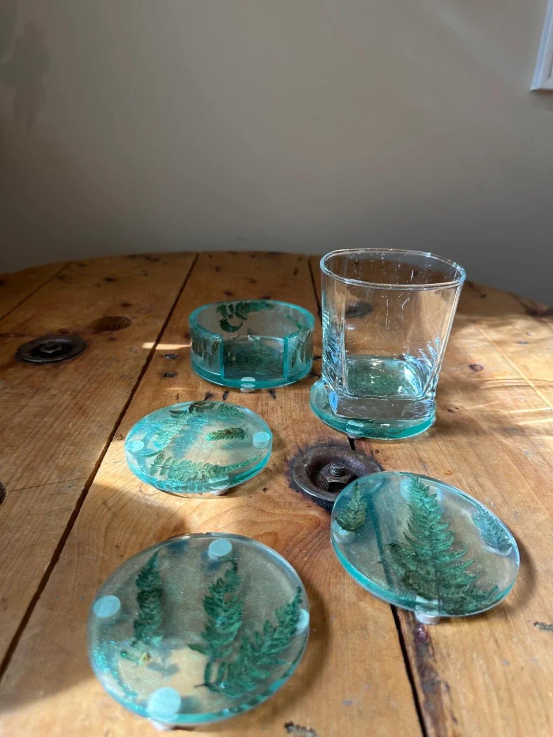 Handmade Resin Coaster Set with Ferns image indicator(2)