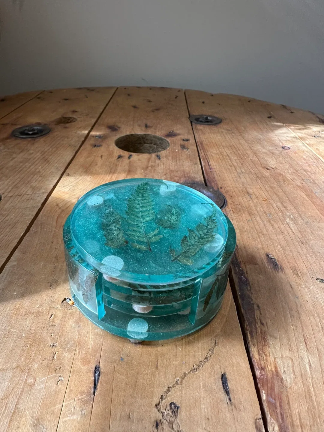 Handmade Resin Coaster Set with Ferns thumbnail