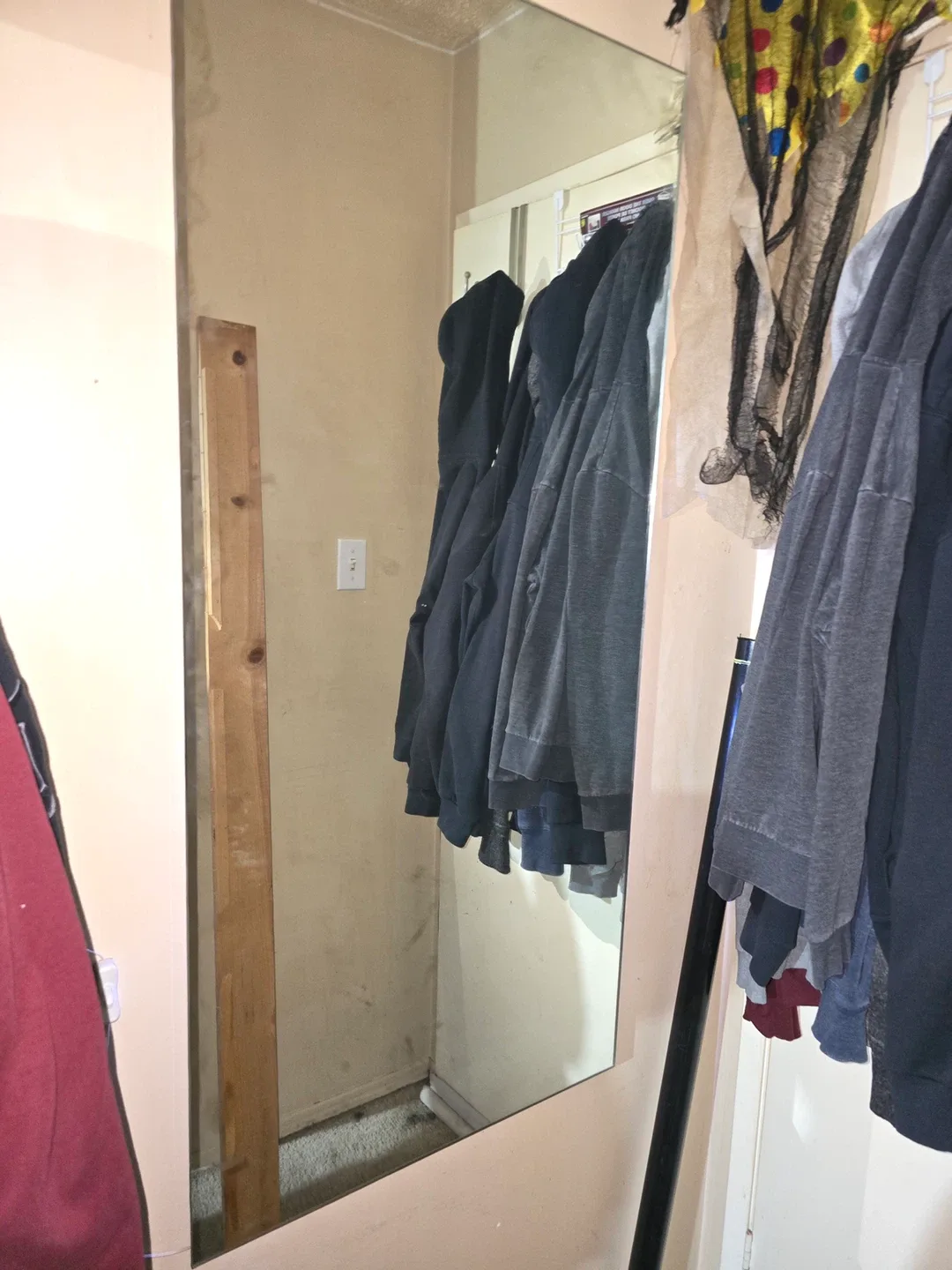 Mirror image indicator(3)