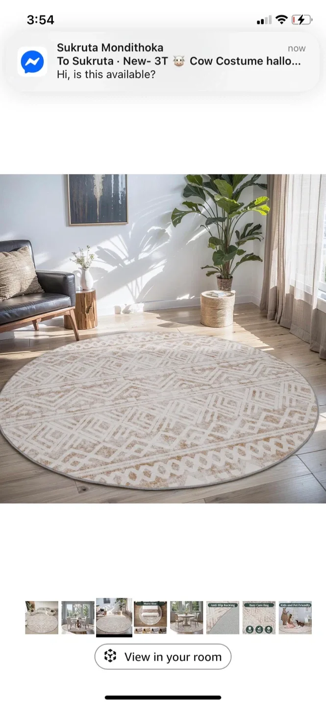 New- Round Area Rug 9ft image indicator(4)