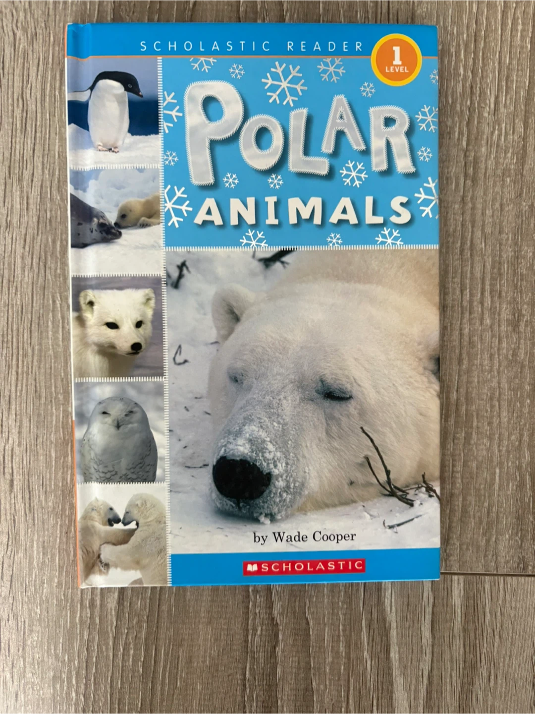 Polar Animals by Wade Cooper (Scholastic Reader)