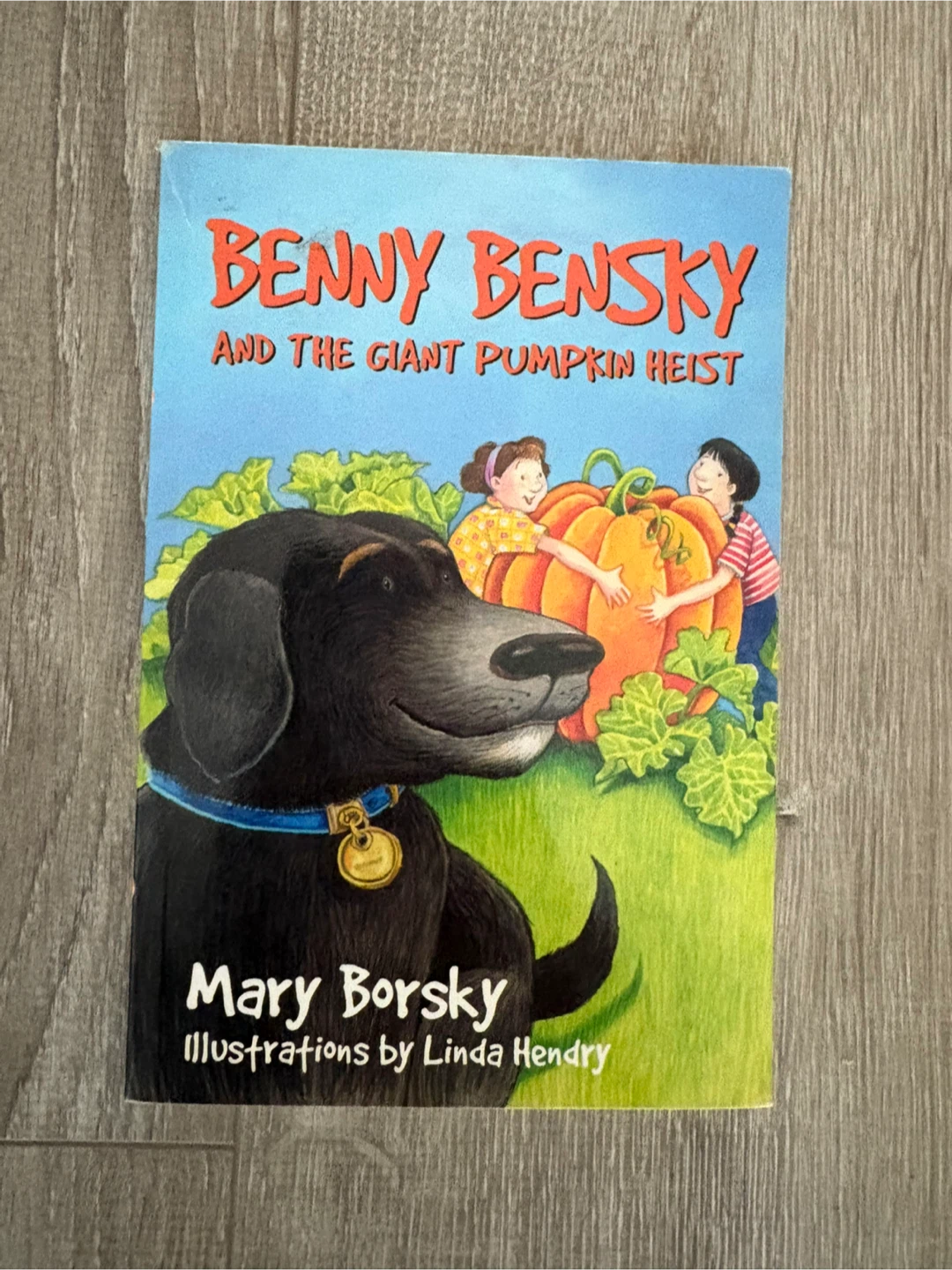 Benny Bensky and the Giant Pumpkin Heist by Mary Borsky
