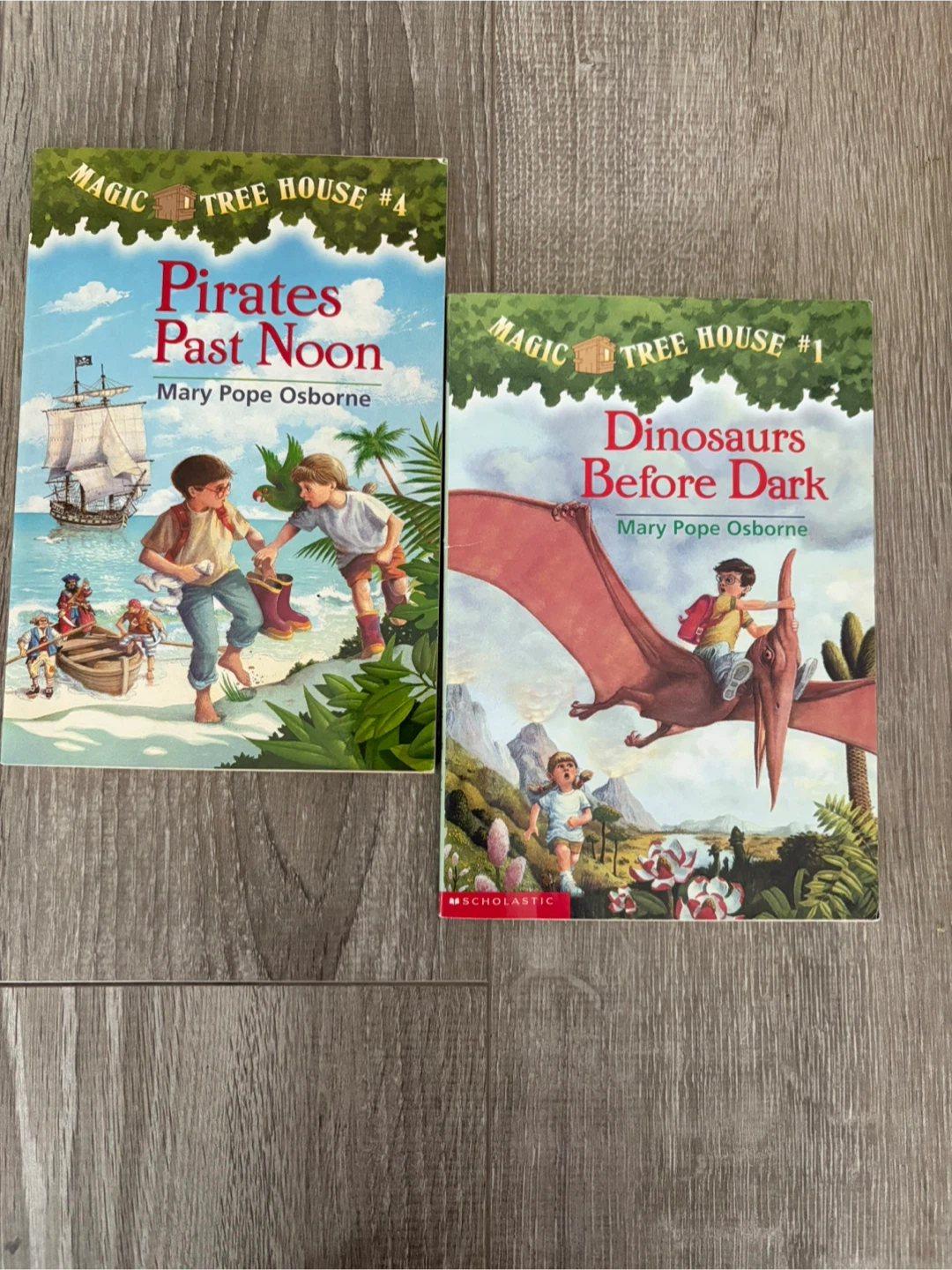 Magic Tree House Books