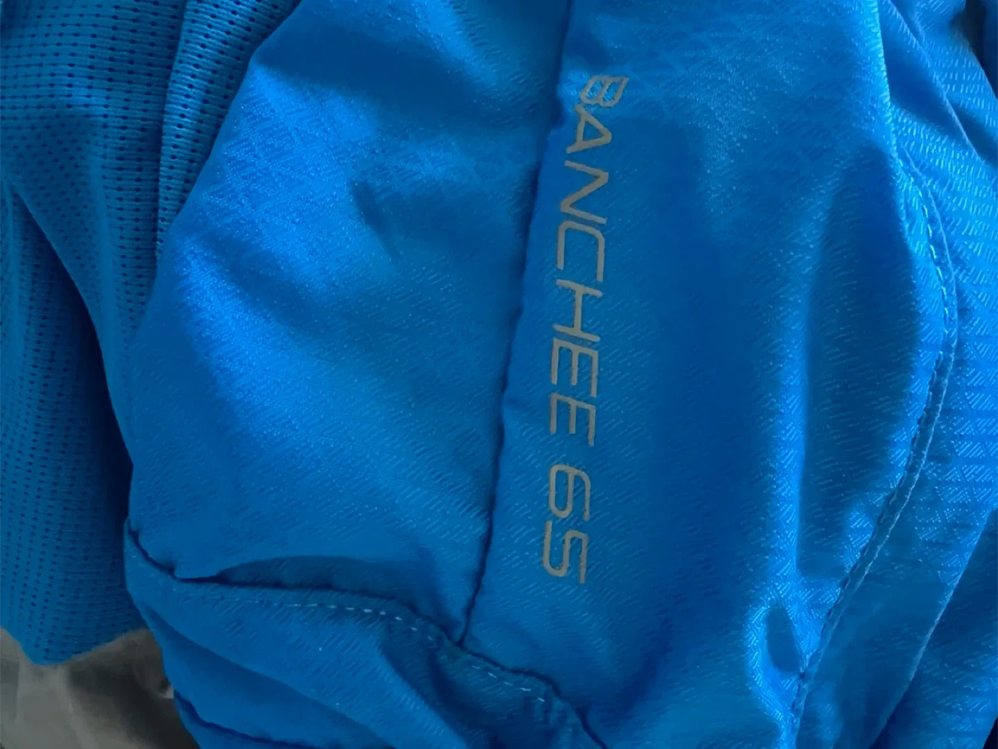 The North Face Banchee 65 Backpack - Blue image indicator(4)