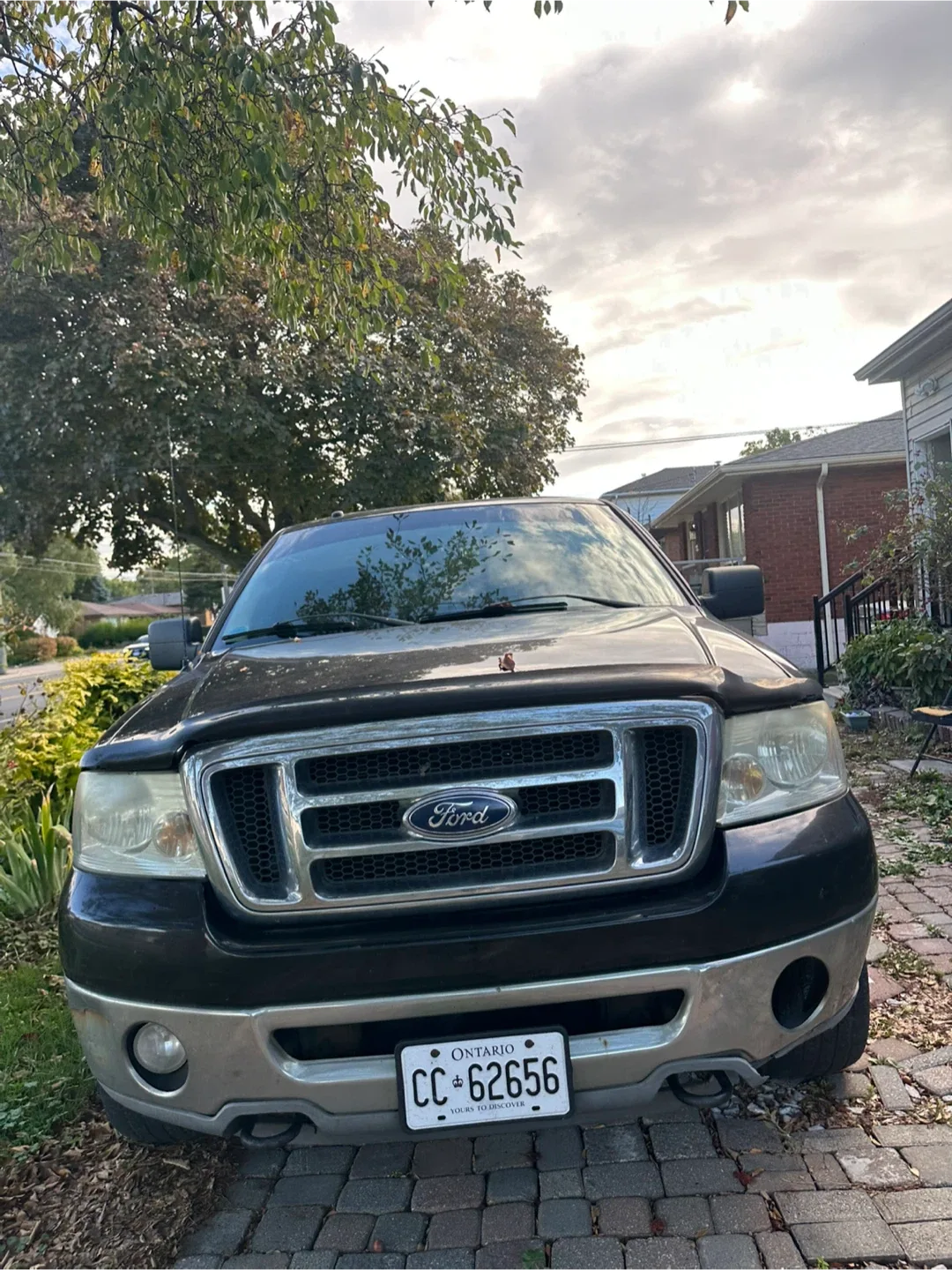2008 Ford F150 image indicator(4)