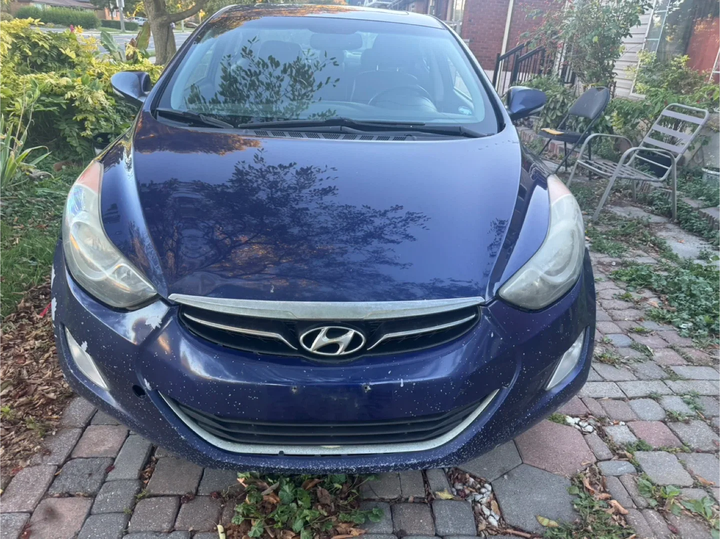 2013 Hyundai Elantra Limited image indicator(2)