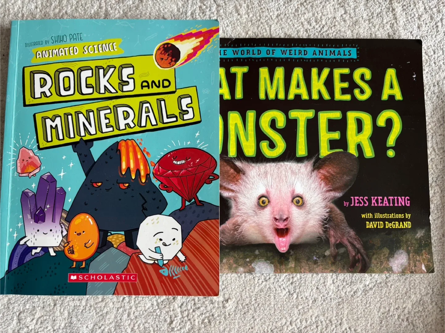 Rocks and Minerals & What Makes a Monster? Books thumbnail