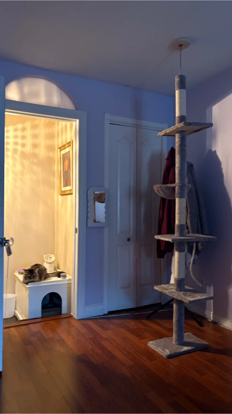 Tall Cat Tree with Scratching Post image indicator(2)