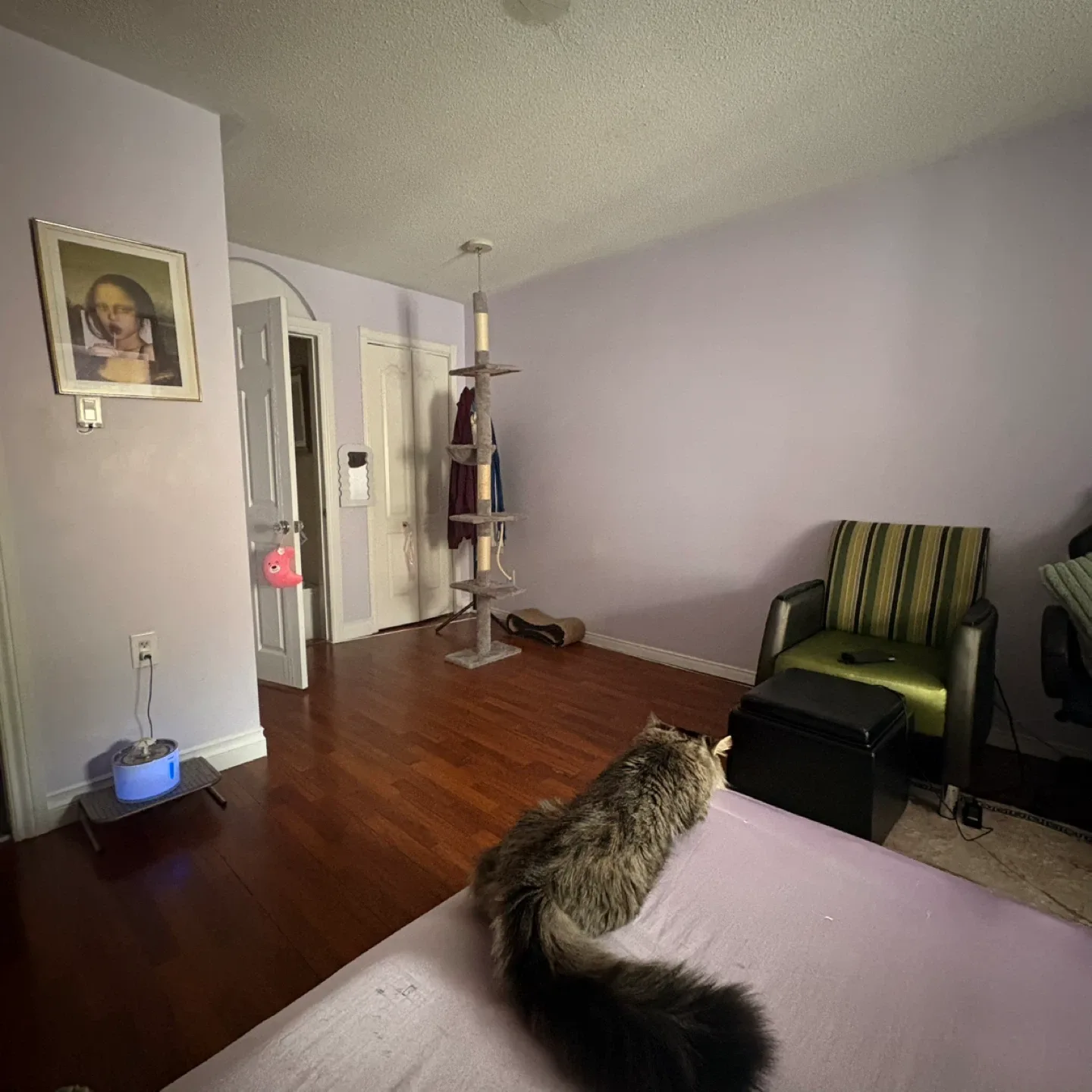 Tall Cat Tree with Scratching Post image indicator(3)