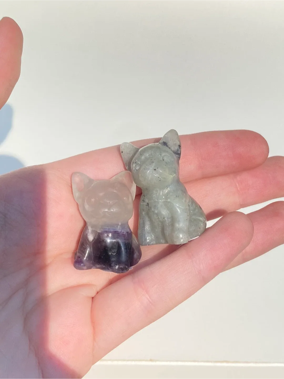 French bulldog Crystal image indicator(5)