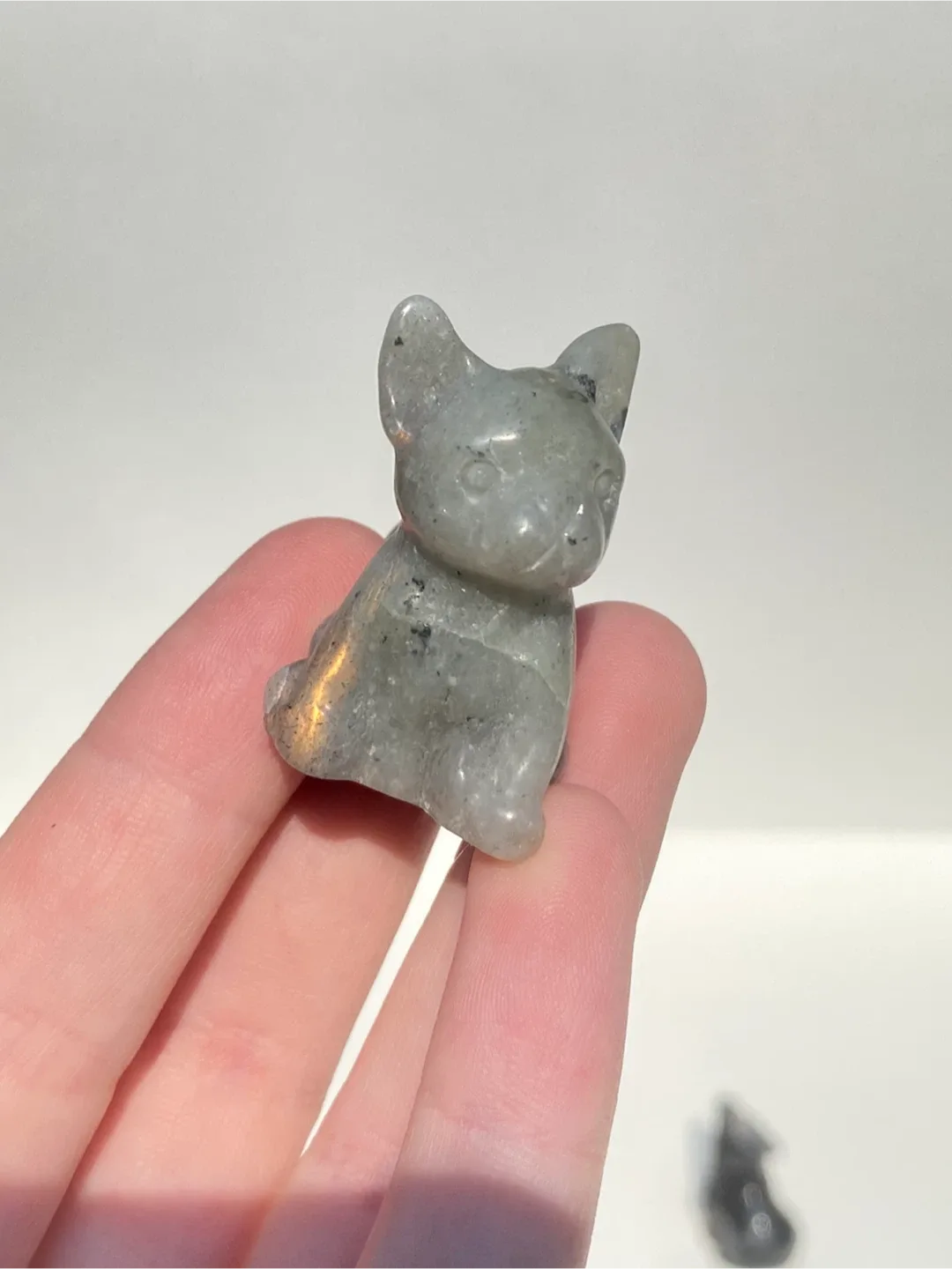 French bulldog Crystal image indicator(4)