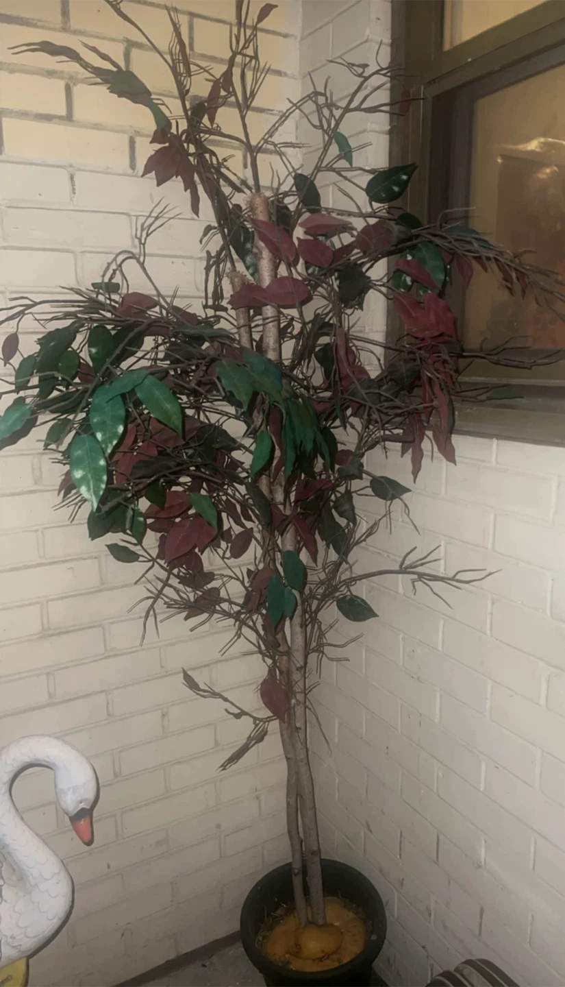 Artificial Ficus Trees