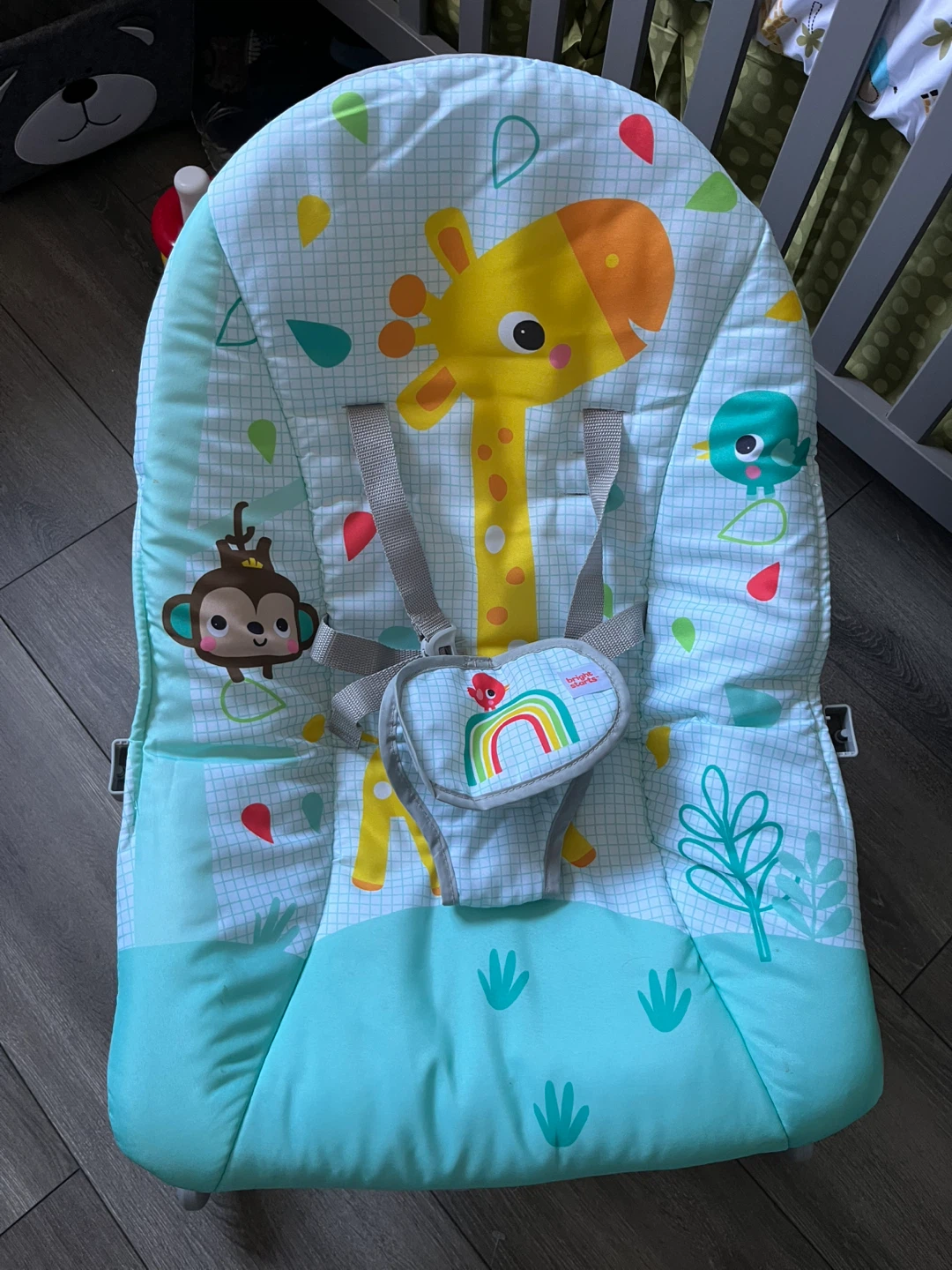 Bright Starts Baby Bouncer