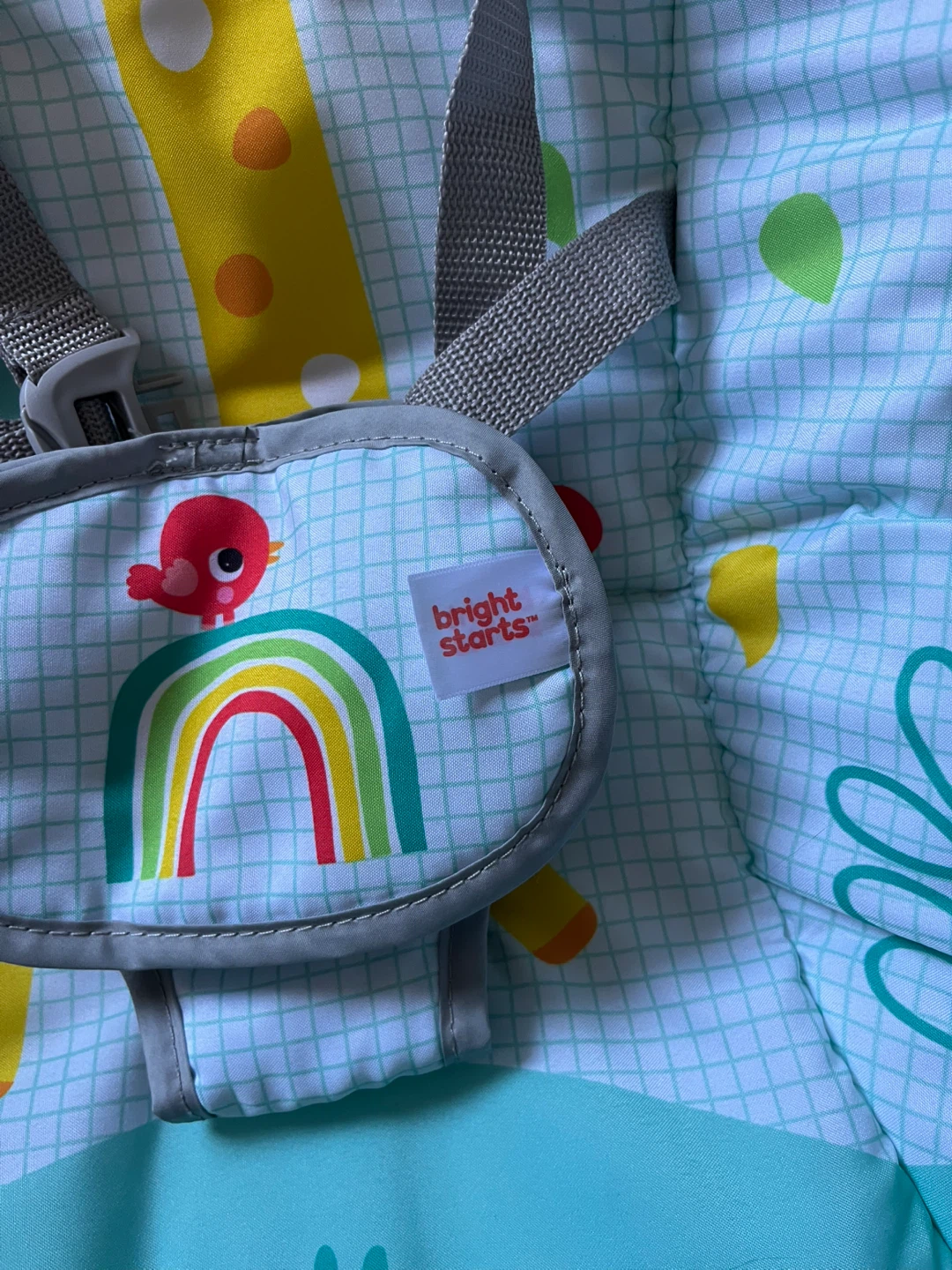 Bright Starts Baby Bouncer - photo 2
