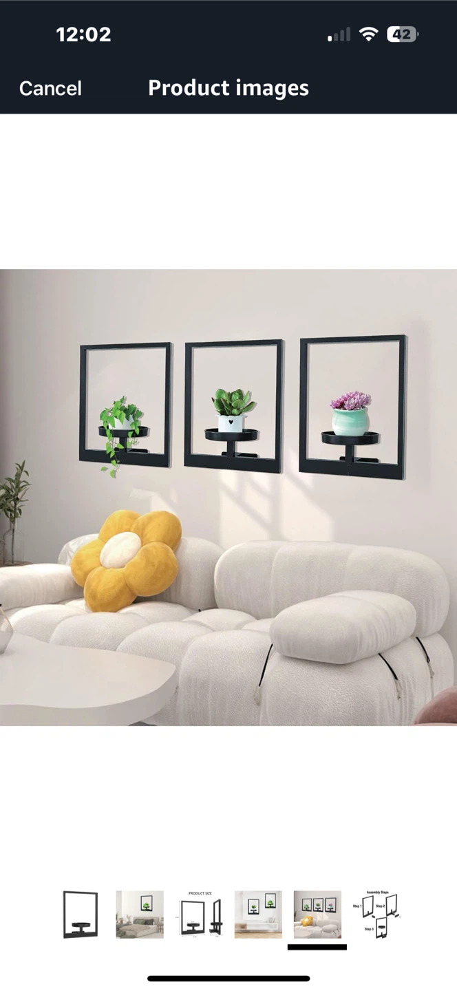 Wall Plant Frame - Stylish Photo Frame & Plant Holder - photo 3