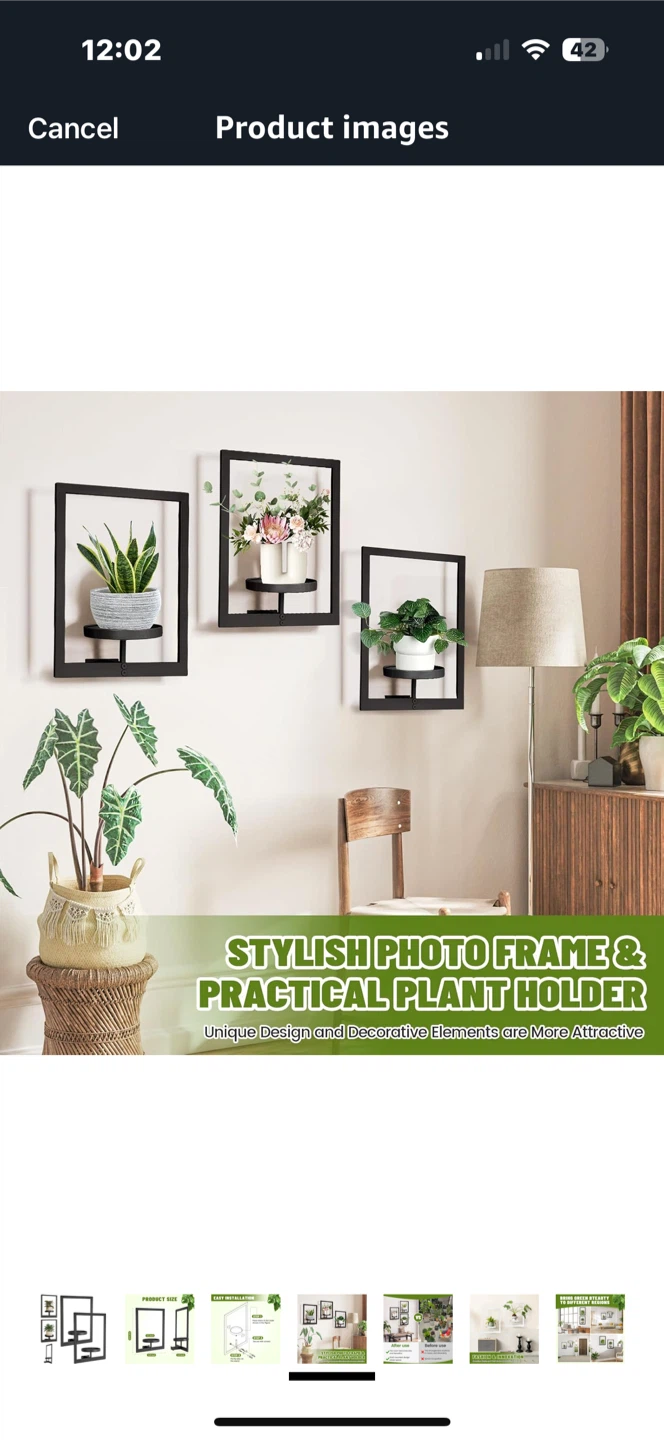 Wall Plant Frame - Stylish Photo Frame & Plant Holder