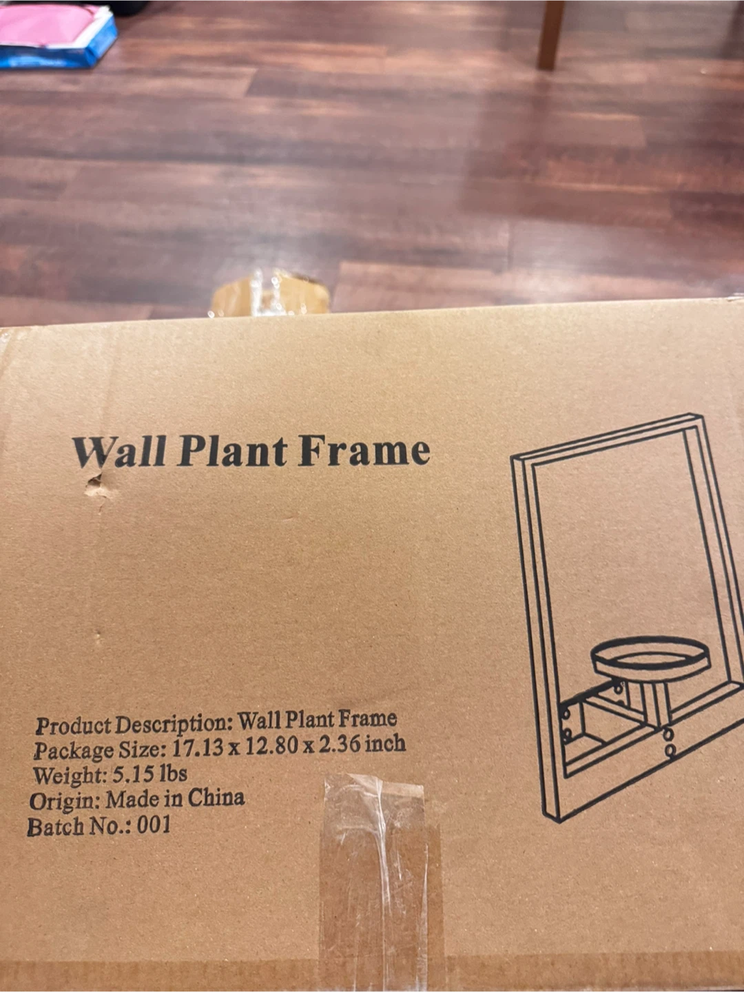 Wall Plant Frame - Stylish Photo Frame & Plant Holder - photo 5