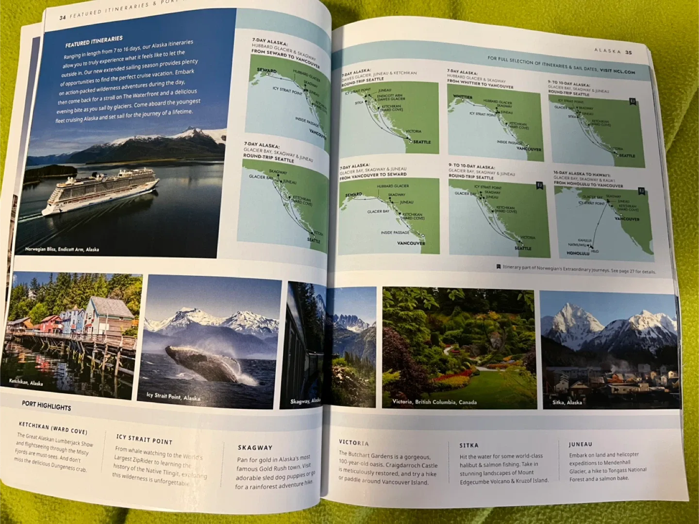 Norwegian Cruise Line Worldwide Cruising Guide 2024-2026 image indicator(4)