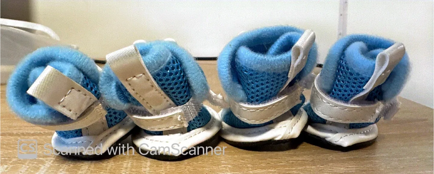 KBL Blue Dog Boots - Size 3 image indicator(2)