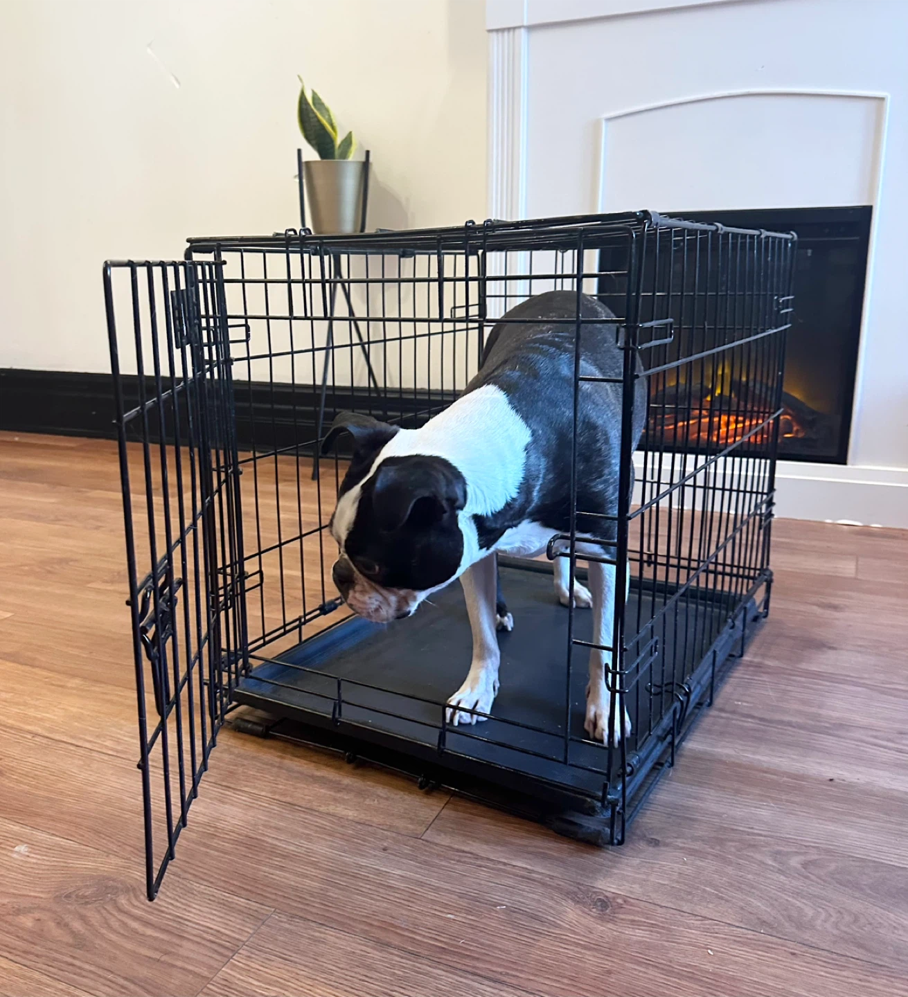 Dog Crate - Black, 23"x16"x16"