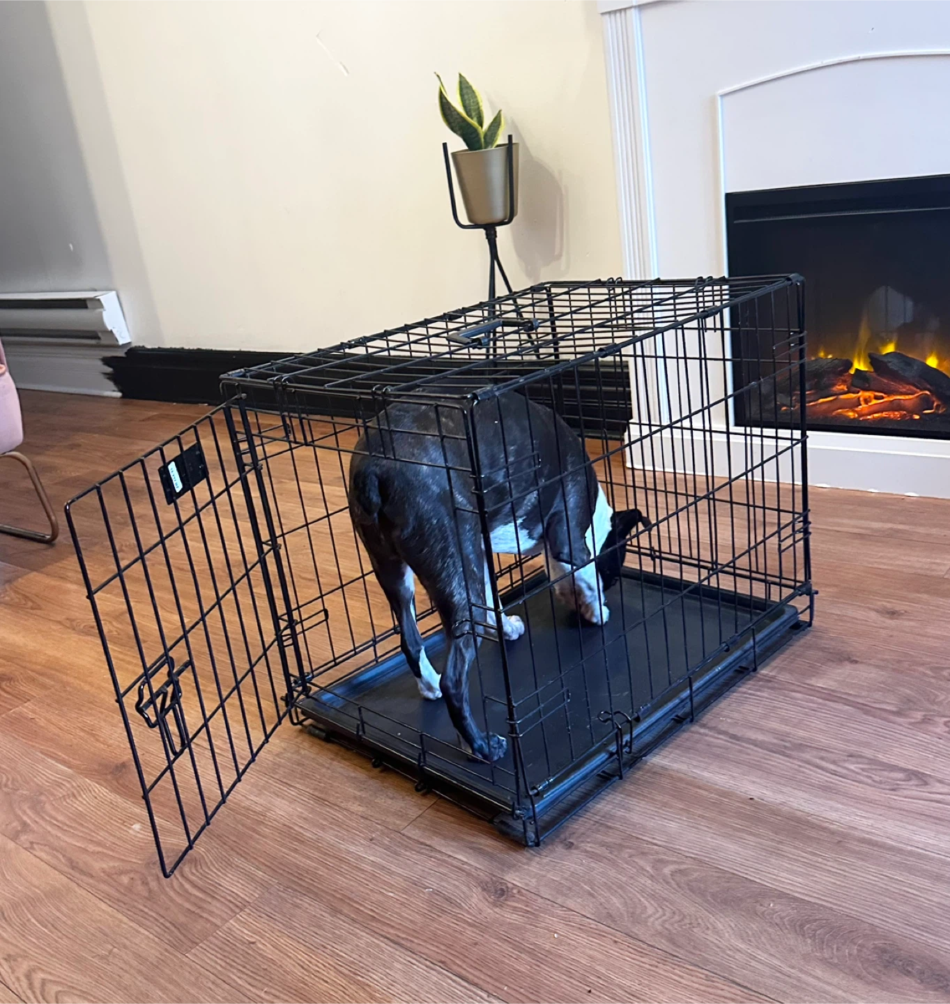 Dog Crate - Black, 23"x16"x16" - photo 2
