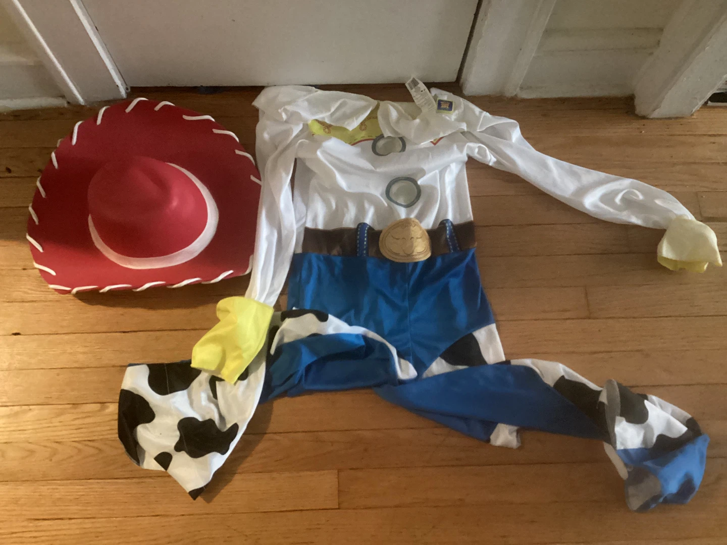 Adult small (4-6) Disney Pixar Toy Story Jessie Costume
