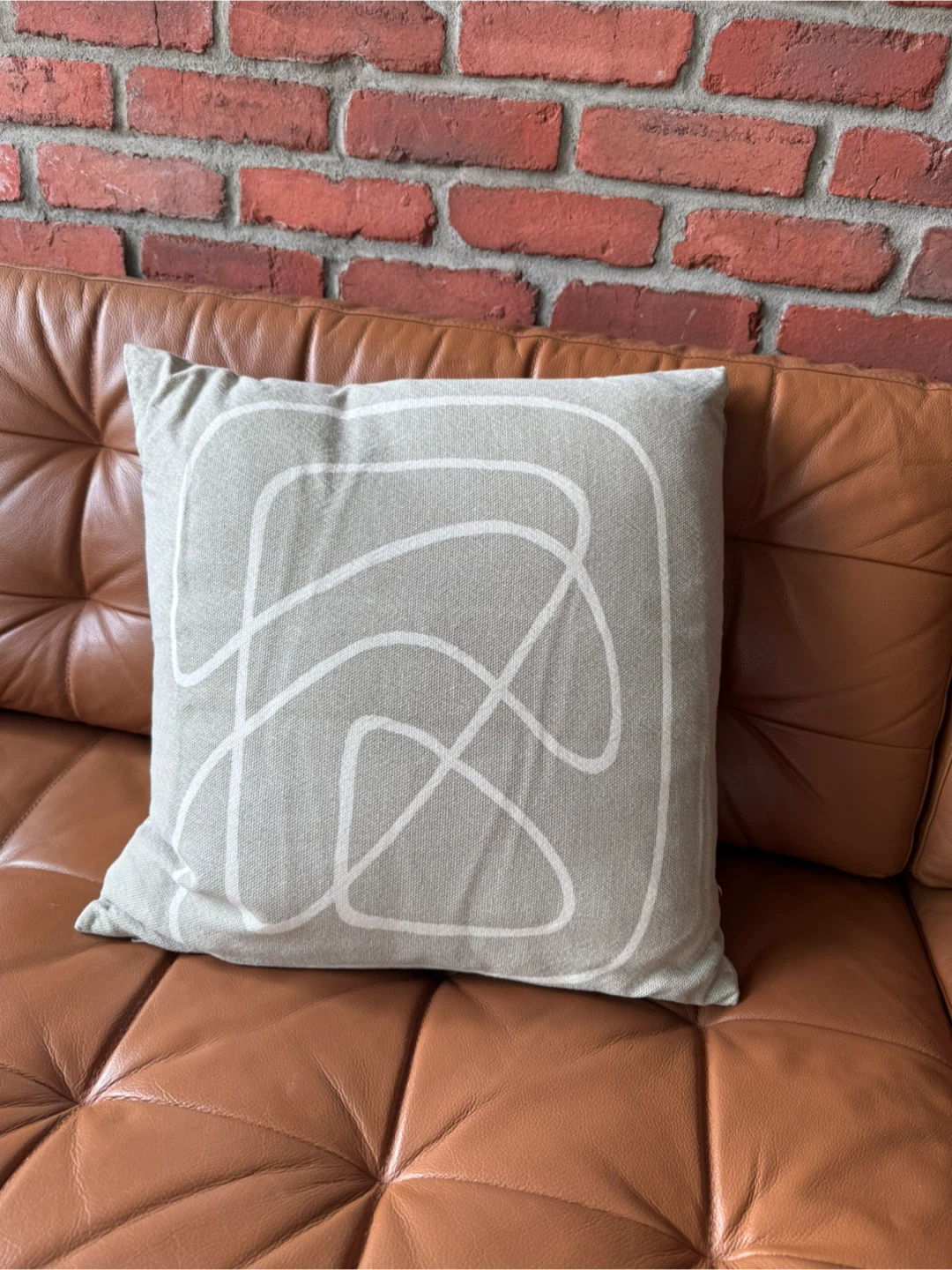 Decorative Throw Pillow