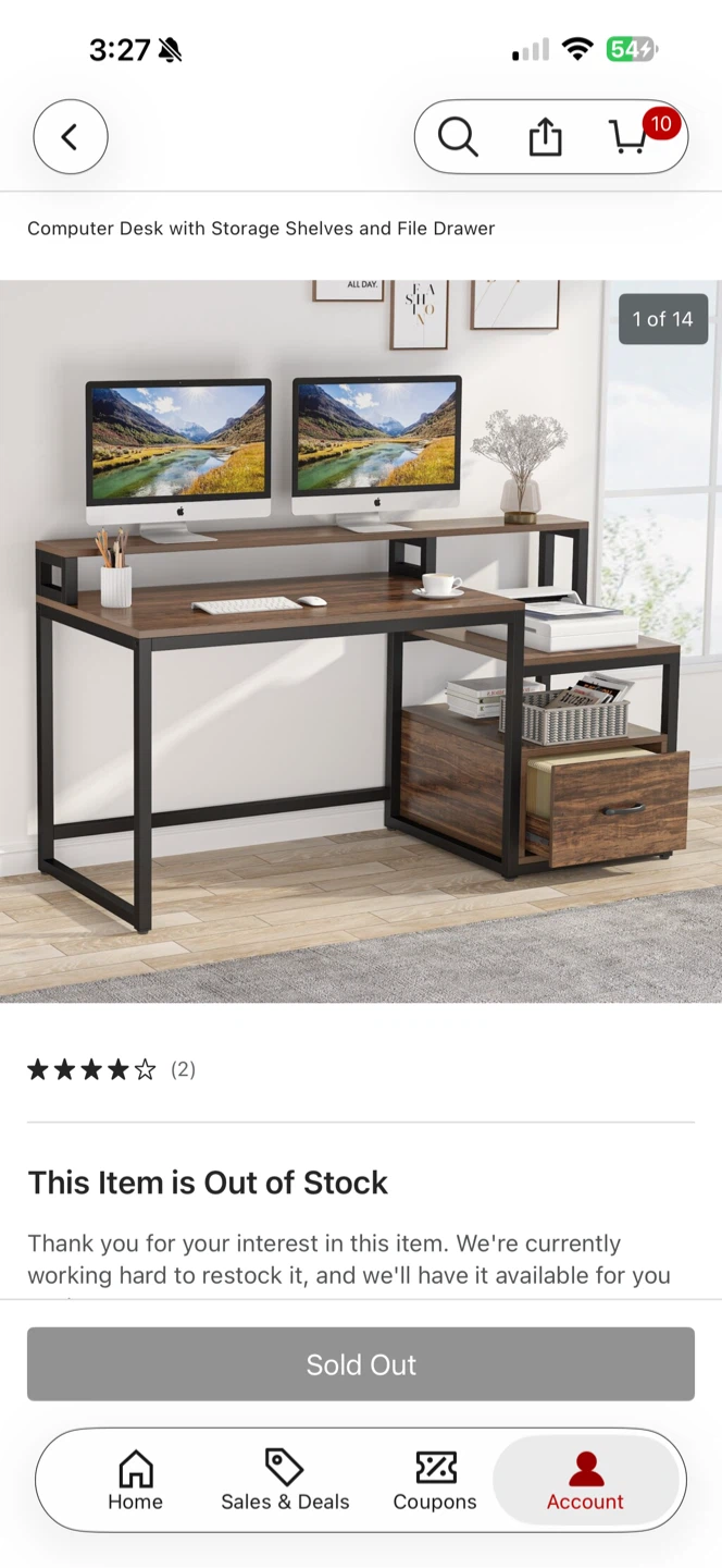 Computer Desk with Storage Shelves and File Drawer