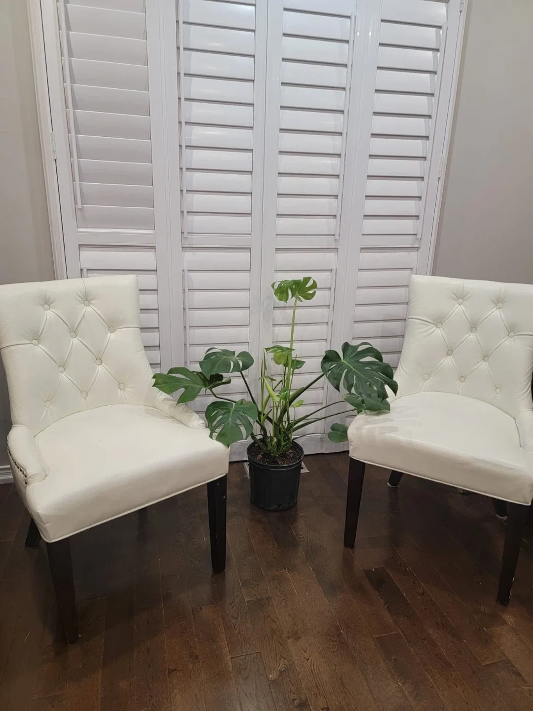 Set of 2 Ivory Dining Chairs image indicator(2)