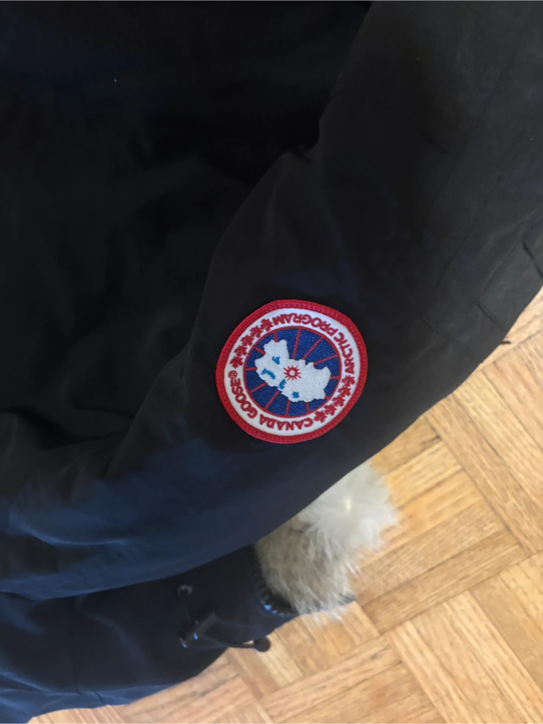 Canada Goose Bomber Jacket - Black - photo 5