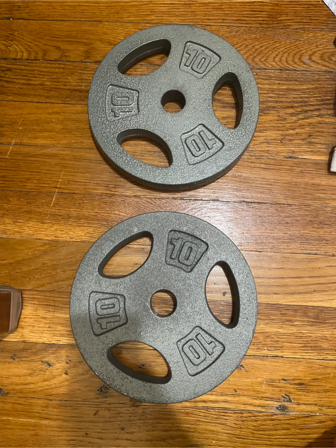 Two 10 lb Weight Plates