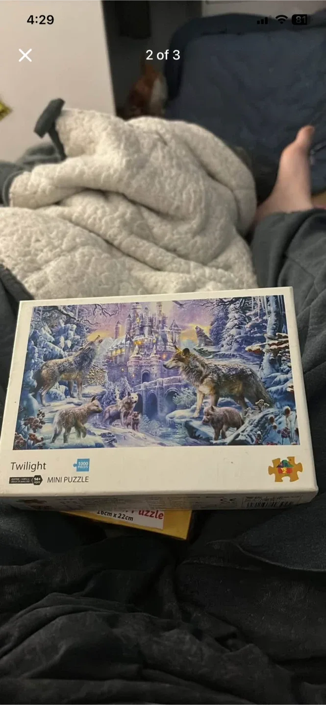 Assorted Puzzles and more image indicator(4)