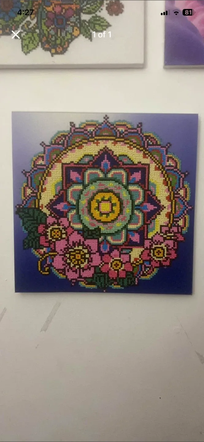 Diamond Art Picture Frame & Artwork image indicator(3)