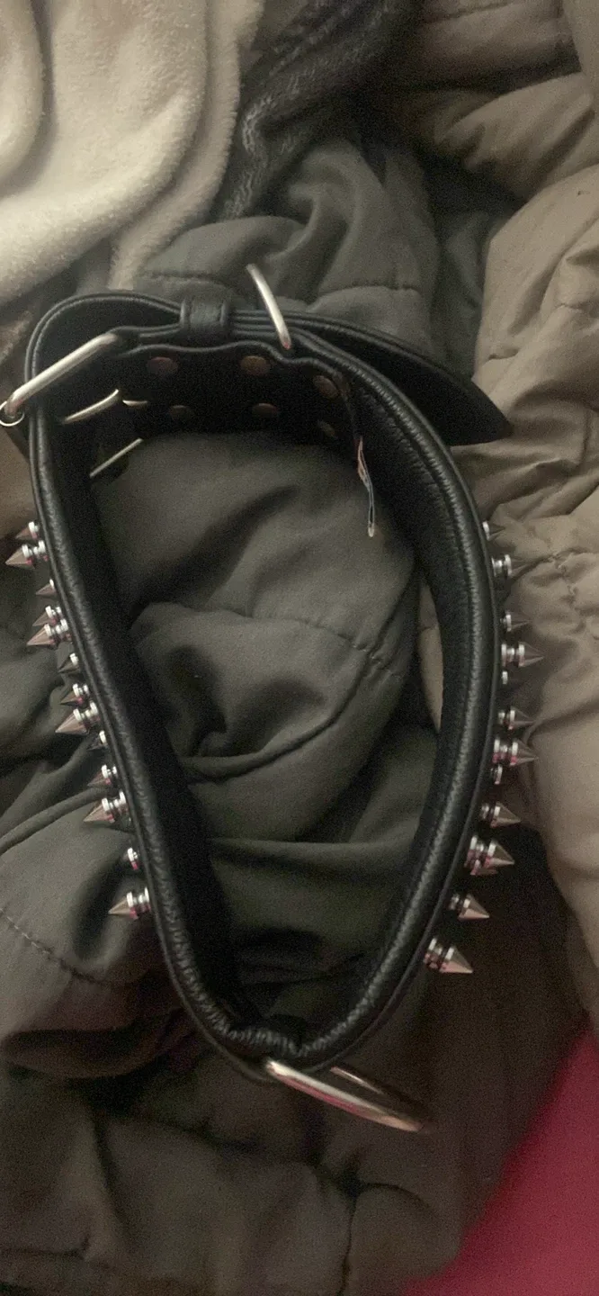 Spiked Black Leather Collar image indicator(2)