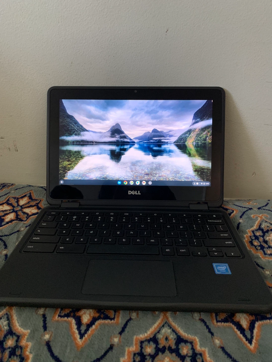 Dell Chromebook 11 3189