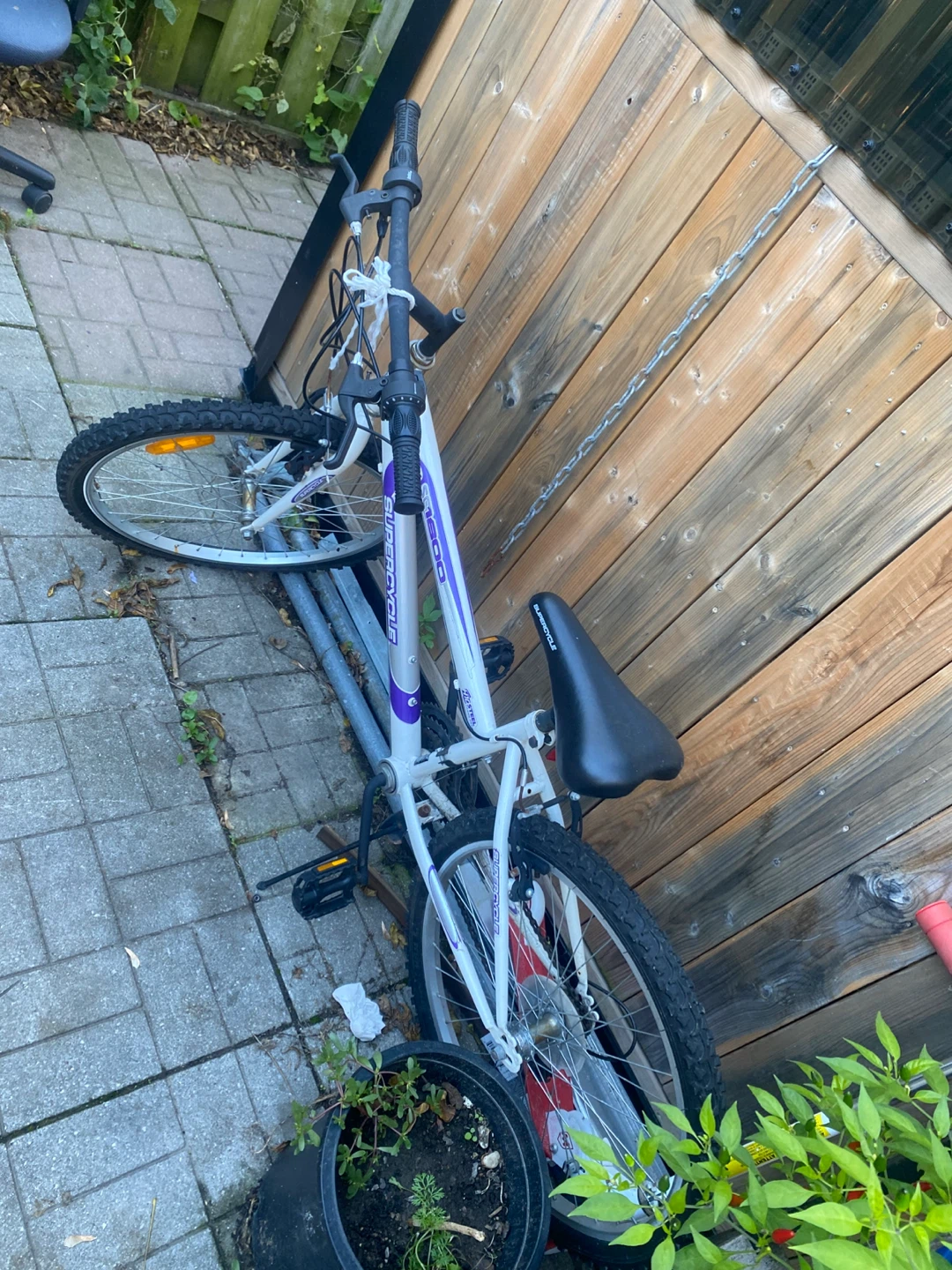 Supercycle Bike - photo 2