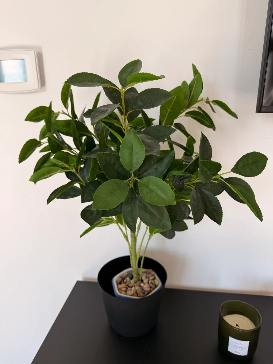 Artificial Potted Plant image indicator(2)