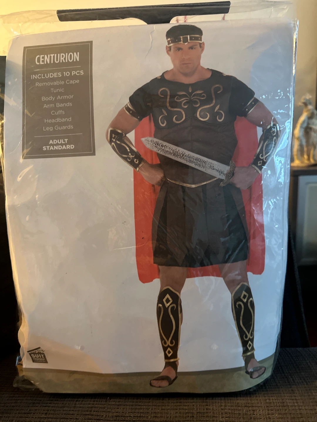 Centurion Halloween Costume