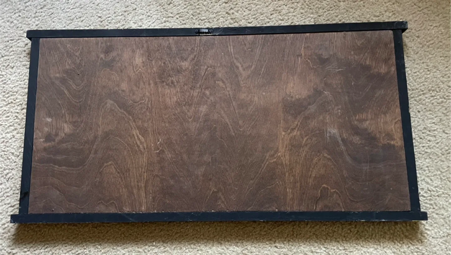 Wood Fish Skeleton Wall Decor image indicator(2)