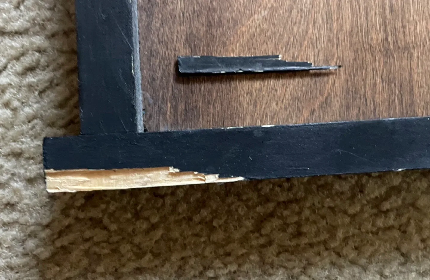 Wood Fish Skeleton Wall Decor image indicator(3)