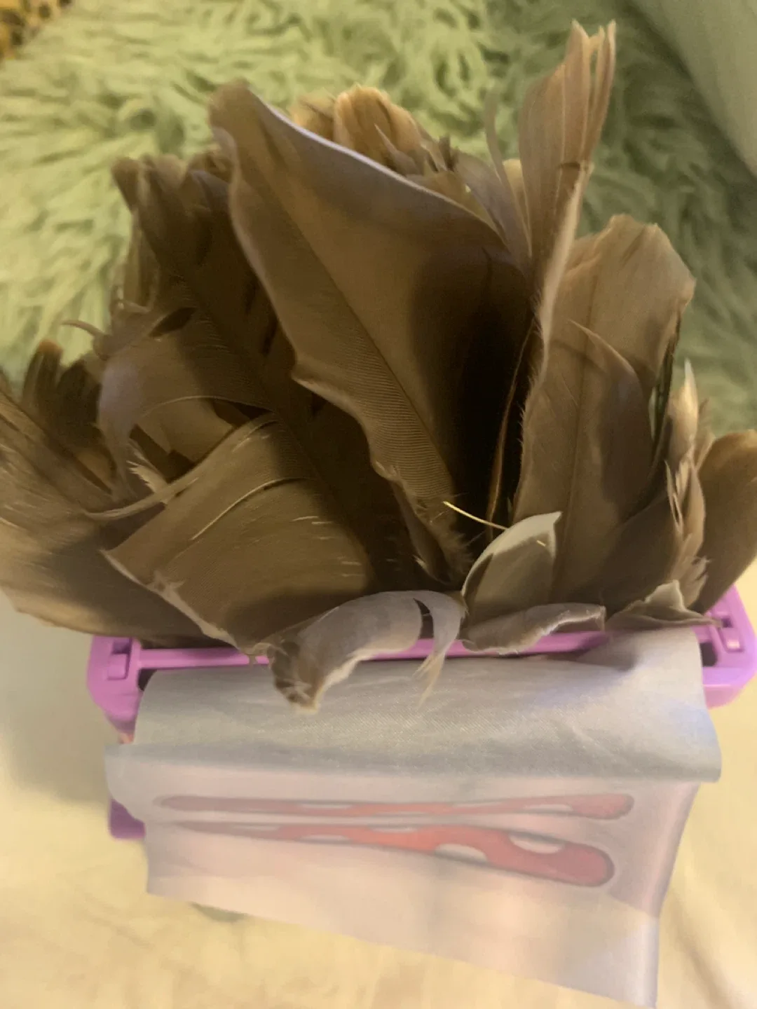 Feather collection image indicator(3)