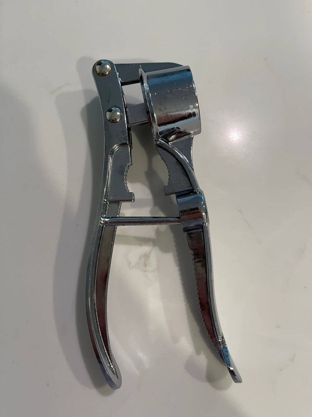 Garlic Press stainless steel