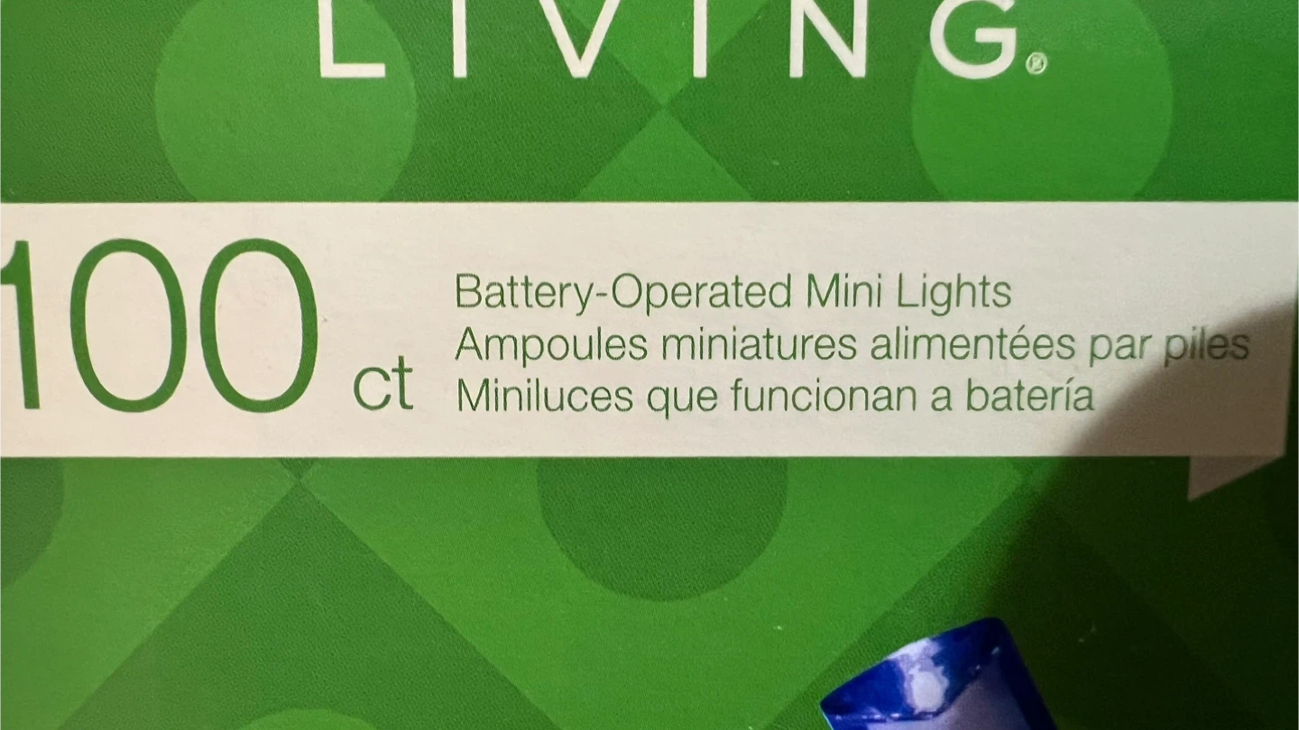 Holiday Living 100 ct LED Mini Lights - photo 2