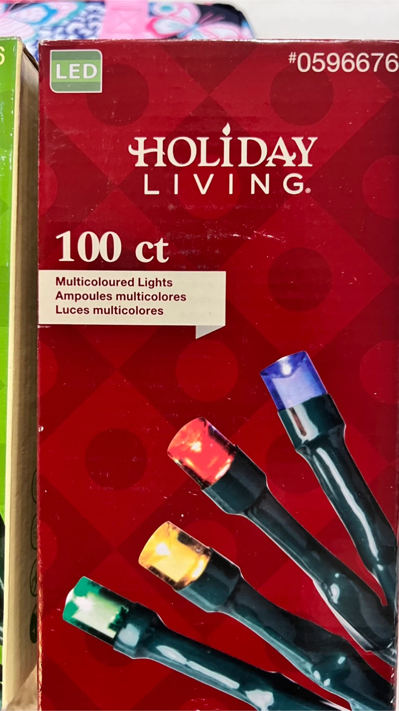 Holiday Living 100 ct LED Mini Lights - photo 5